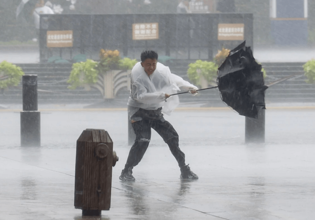 Red Alert: Shanghai Cancels 80% of Flights as Typhoon Dolphin Makes Landfall